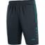 Afbeeldingen van Trainingsshort Active antraciet/turkoois